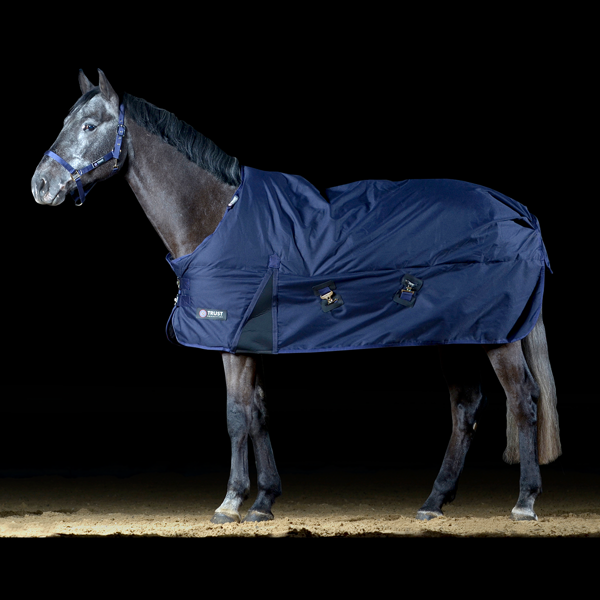 Transplanteren aangrenzend Konijn Er komt een einde aan de eeuwige zoektocht naar de juiste winterdeken –  Trust Equestrian