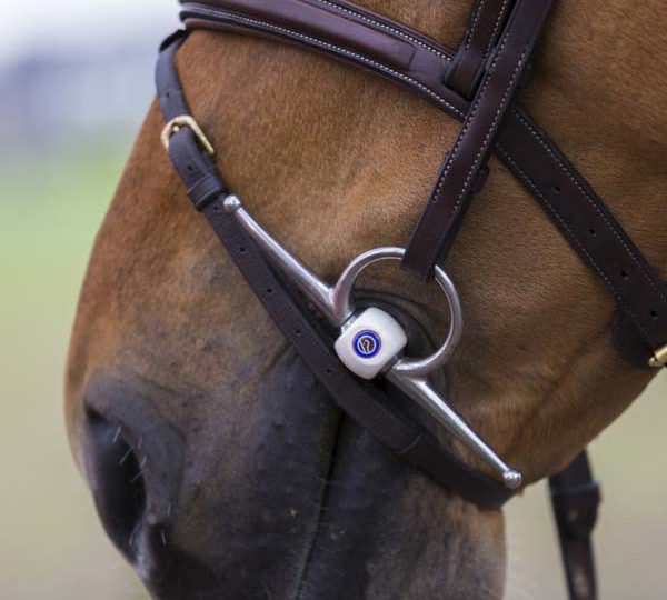 Hoe weet je wat de bitmaat van je paard is?   